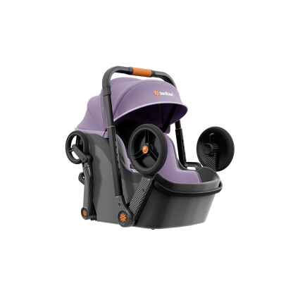 Adventure-Ready All-in-One Child Transport System